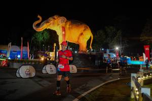 BIB: 
                            <button type="button" onclick="openModal(26552391)" class="btn btn-primary btn-sm float-right btn-popup" data-toggle="modal" data-target=".modal-high-quality">
                        <i class="fas fa-shopping-cart"></i> Add to Cart
                    </button>
                                            <button type="button" onclick="isThisMe(26552391, true)" class="btn btn-success btn-sm float-right btn-popup btn-isme hidden" data-toggle="tooltip" data-placement="bottom" title="นี่คือรูปของคุณใช่ไหม คลิกที่นี่เพื่อเอาเข้าอัลบั้ม">
                        <i class="fas fa-plus"></i> Add to album
                    </button>
                    <button type="button" onclick="isThisMe(26552391, false)" class="btn btn-warning btn-sm float-right btn-popup btn-isnotme hidden">
                        <i class="fas fa-ban"></i> Remove from album
                    </button>